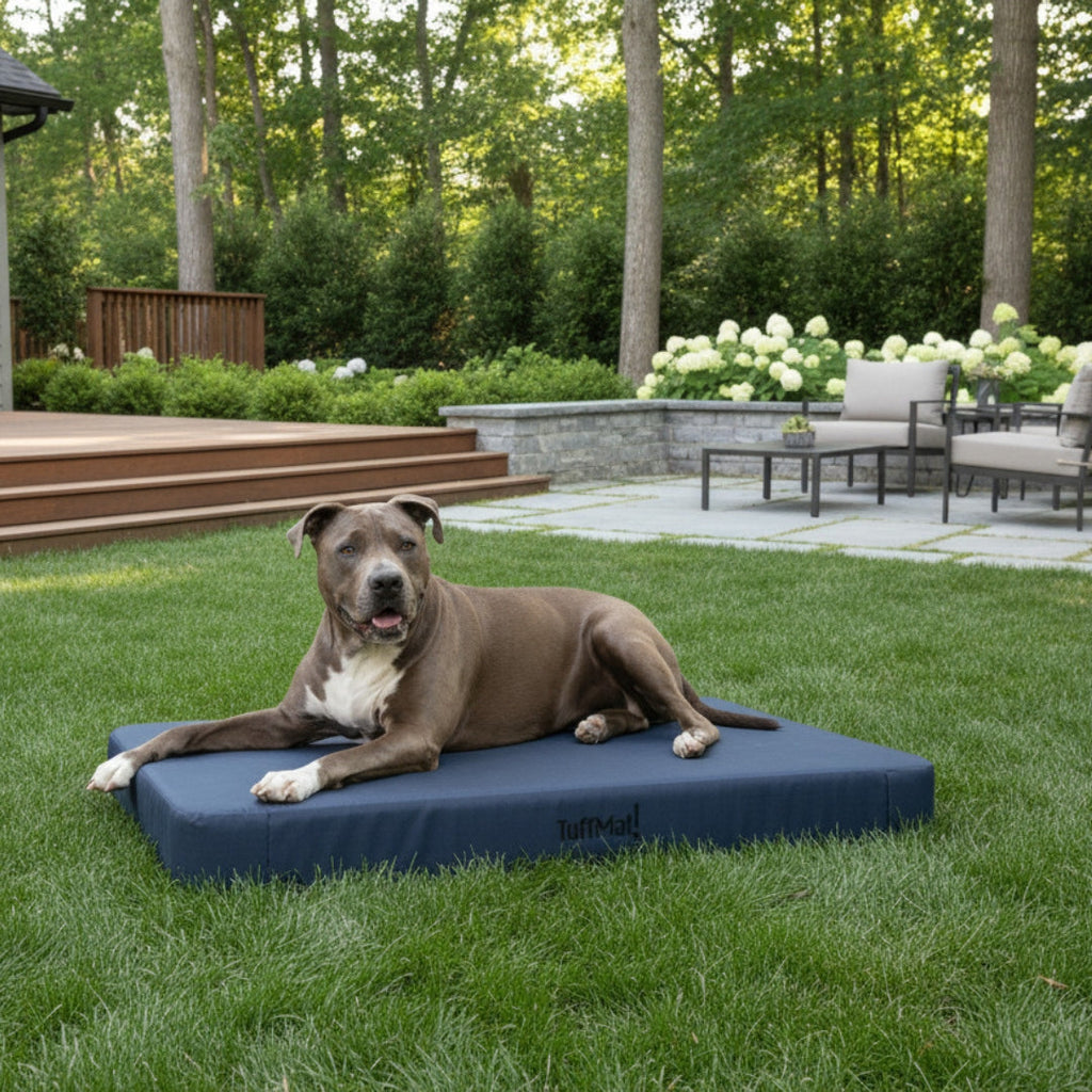 TuffMat! Orthopaedic Dog Bed