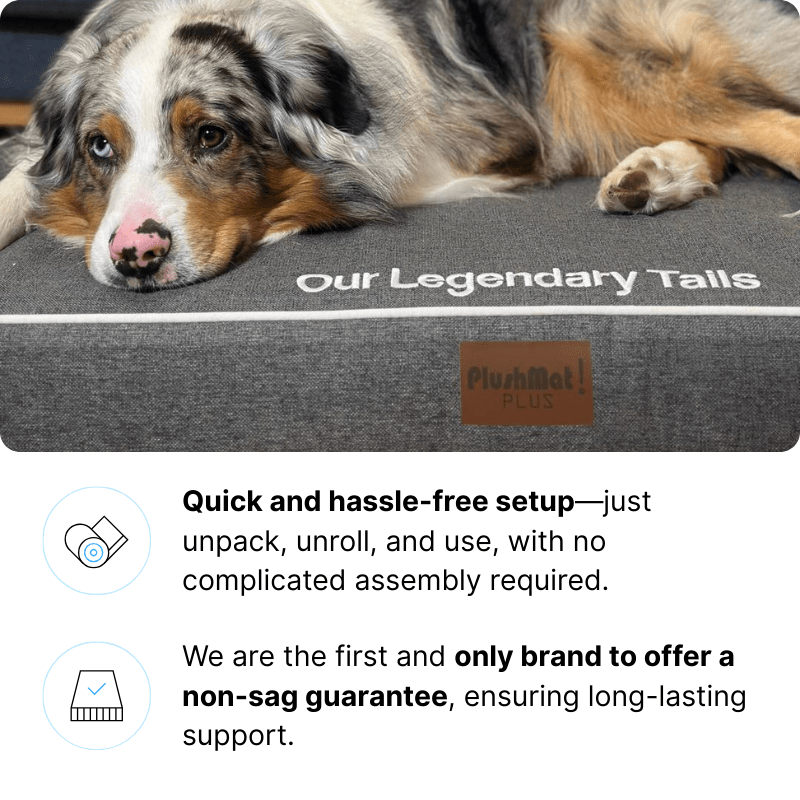 TuffMat! Orthopaedic Dog Bed